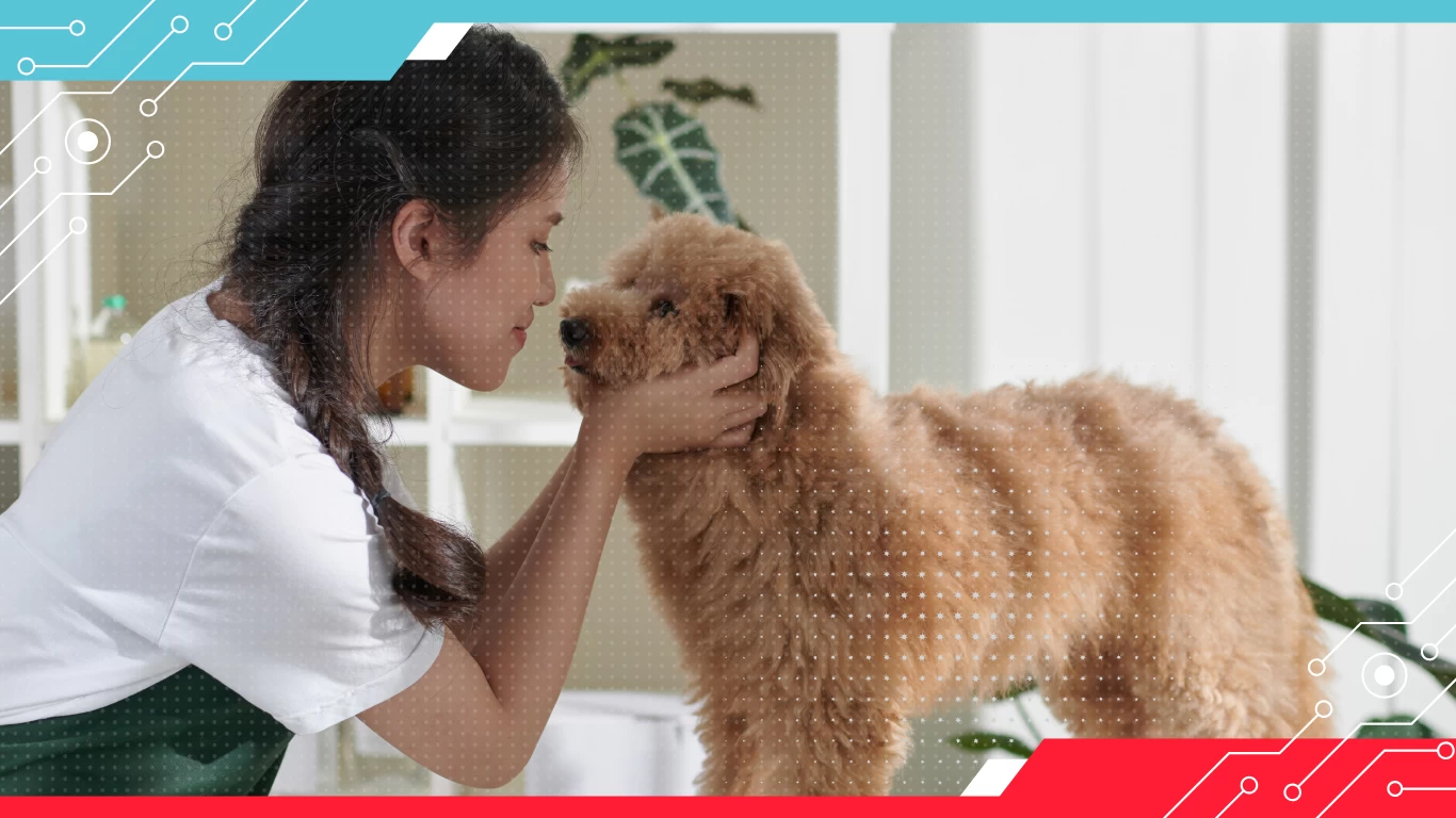You Can Do It With Smicos!: AI-Powered Conversations for your Pet Salon Business banner